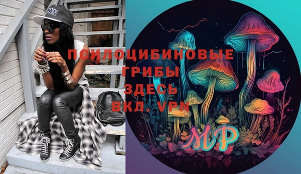 а пвп мука Абаза