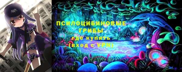 а пвп мука Абаза