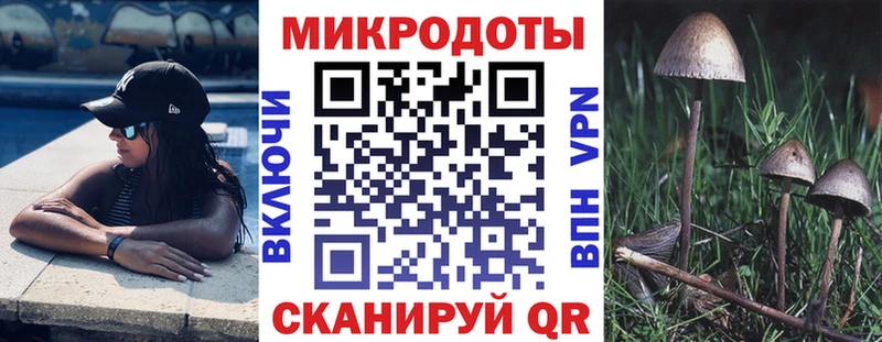 Галлюциногенные грибы Psilocybe  где можно купить наркотик  Чердынь 